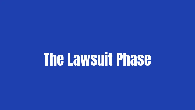 The Lawsuit Phase
