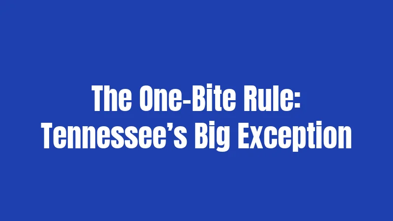 Dog Bite Laws in Tennessee (2026): Rules That Might Surprise You 2 The One-Bite Rule: Tennessee’s Big Exception