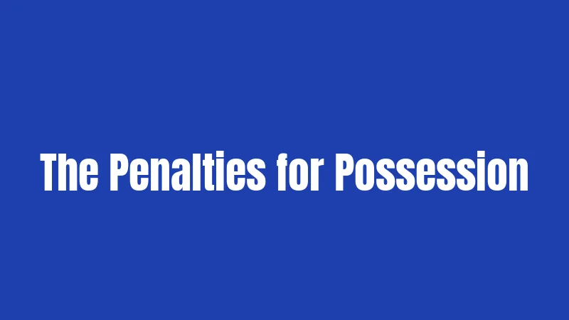 Minor Drinking Laws in New York (2026): What Gets You in Trouble 2 The Penalties for Possession
