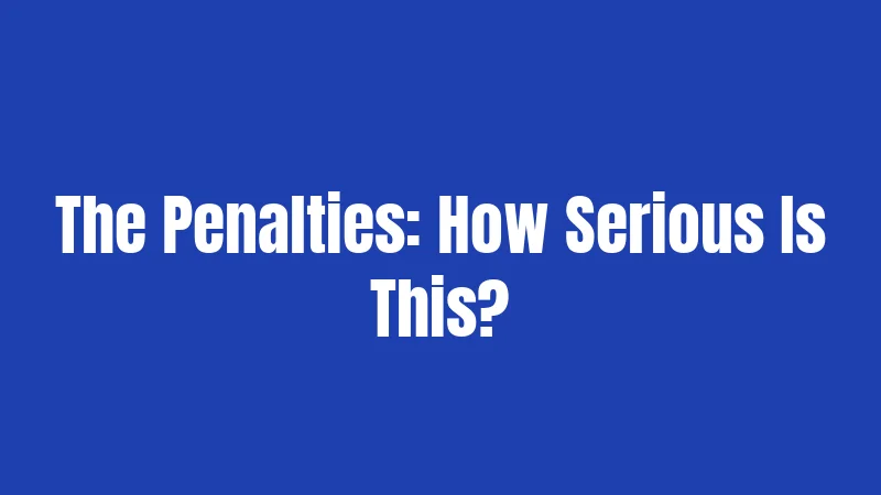 The Penalties: How Serious Is This?