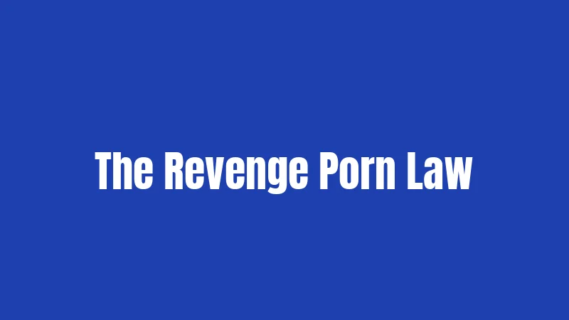 The Revenge Porn Law