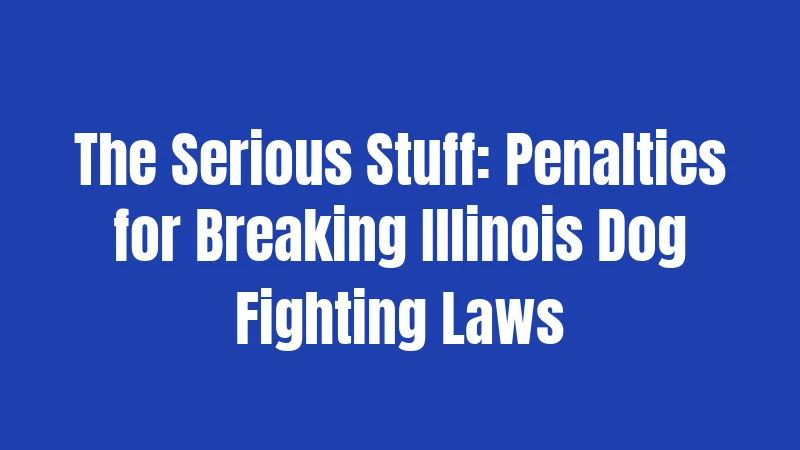The Serious Stuff: Penalties for Breaking Illinois Dog Fighting Laws
