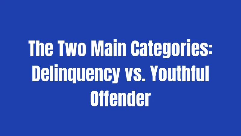 Juvenile Laws in Massachusetts (2026): Rules Every Family Should Know 2 The Two Main Categories: Delinquency vs. Youthful Offender