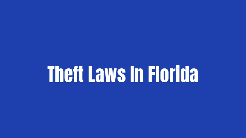 Theft Laws In Florida