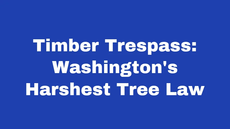 Timber Trespass: Washington's Harshest Tree Law