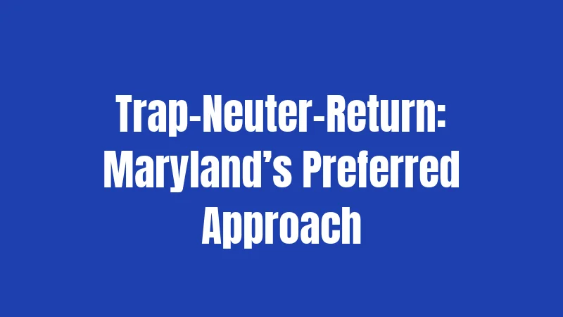 Trap-Neuter-Return: Maryland’s Preferred Approach