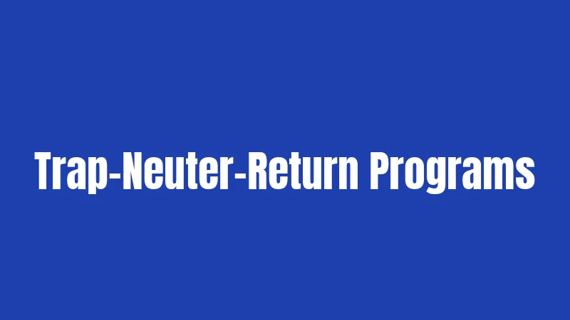 Trap-Neuter-Return Programs