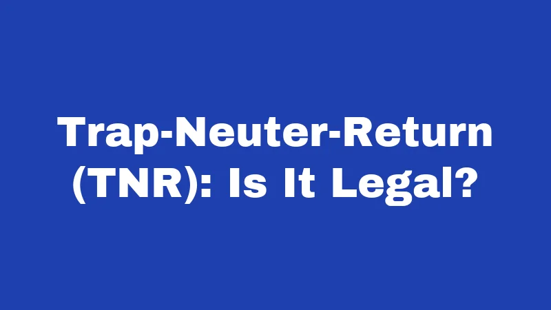 Feral Cat Laws in New Mexico (2026): Colonies, TNR, and What Owners Should Know 2 Trap-Neuter-Return (TNR): Is It Legal?