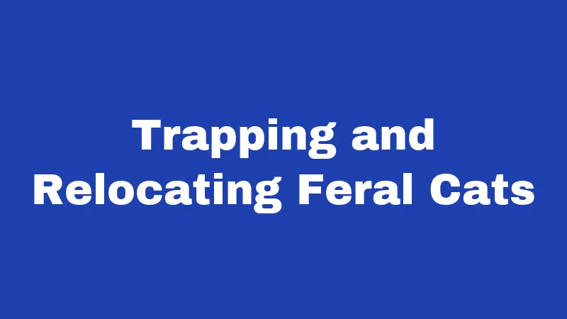 Trapping and Relocating Feral Cats