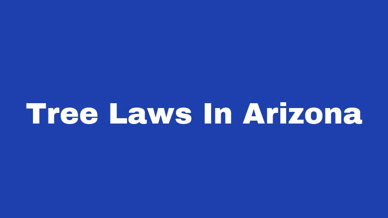 Tree Laws in Arizona (2026): Your Backyard Rights Explained 306 Tree Laws In Arizona