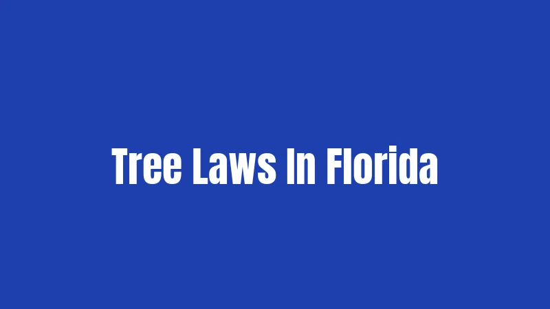 Tree Laws In Florida