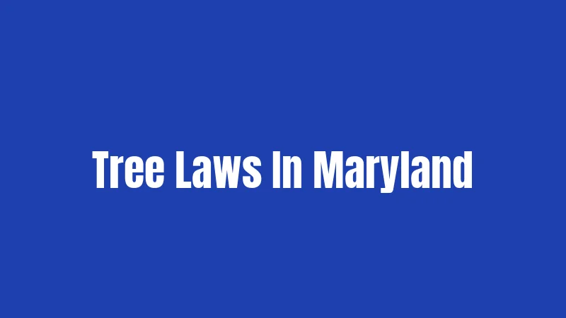 Tree Laws In Maryland