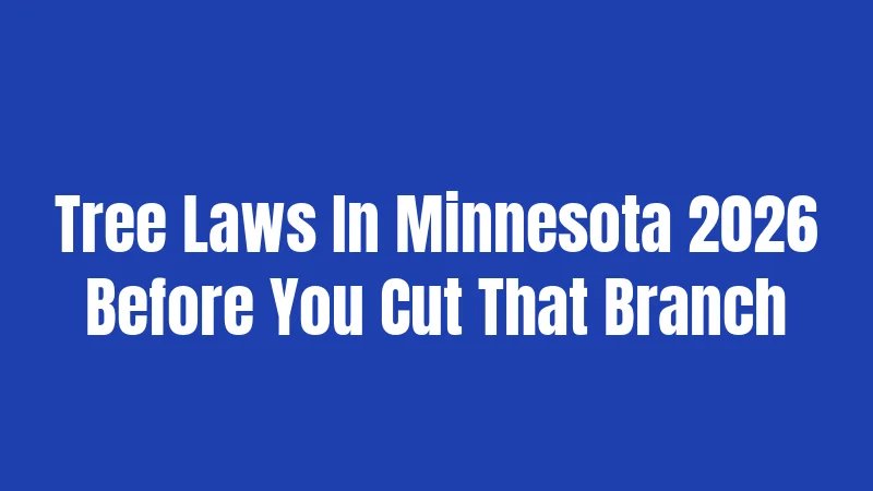 Tree Laws In Minnesota 2026 Before You Cut That Branch