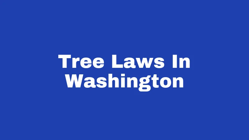 Tree Laws in Washington (2026): Know Before You Cut 346 Tree Laws In Washington