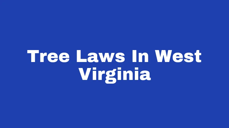 Tree Laws In West Virginia