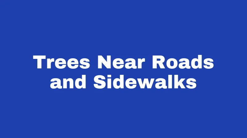 Trees Near Roads and Sidewalks