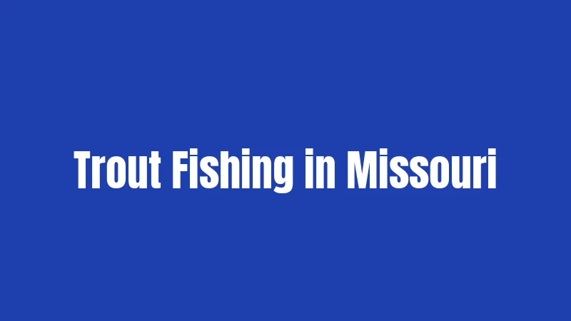 Trout Fishing in Missouri