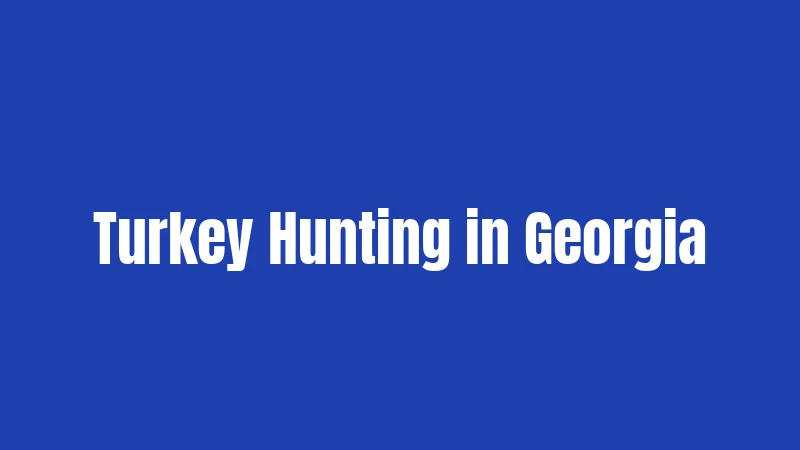 Turkey Hunting in Georgia