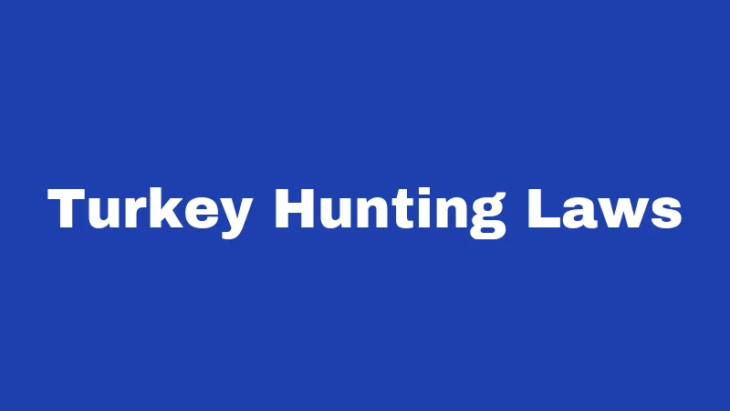 Hunting Laws in Kansas (2026): Your Season-Ready Survival Guide 3 Turkey Hunting Laws