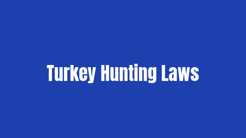 Turkey Hunting Laws