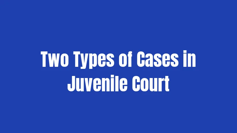 Two Types of Cases in Juvenile Court