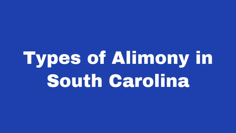 Alimony Laws in South Carolina (2026): Straight Facts, No Surprises 1 Types of Alimony in South Carolina