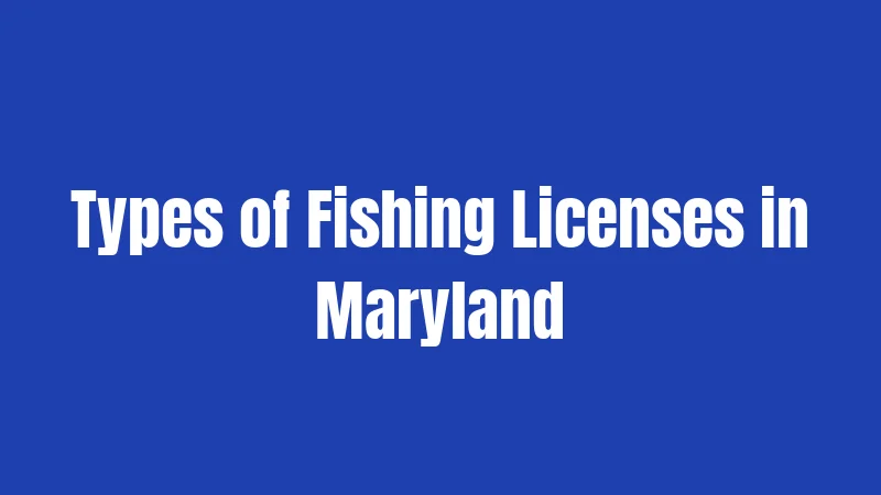 Types of Fishing Licenses in Maryland