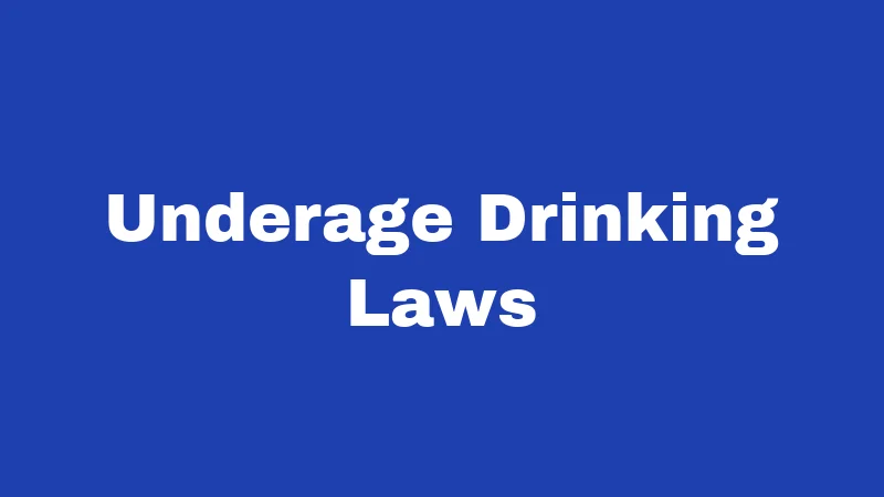 Alcohol Laws in Idaho (2026): The Rules Locals Wish They Knew Sooner 3 Underage Drinking Laws