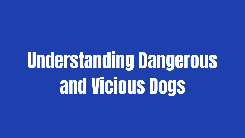Understanding Dangerous and Vicious Dogs