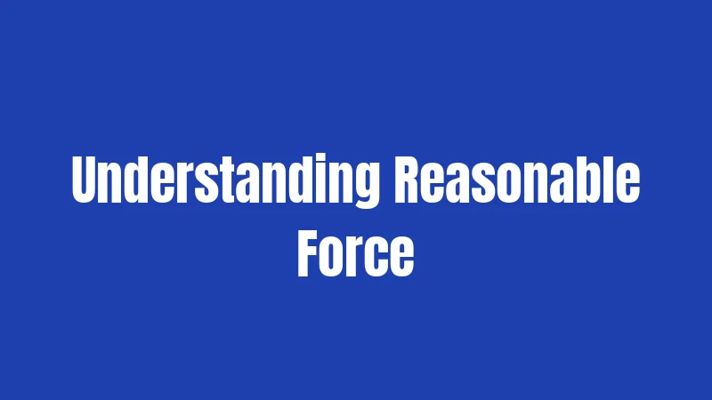 Understanding Reasonable Force