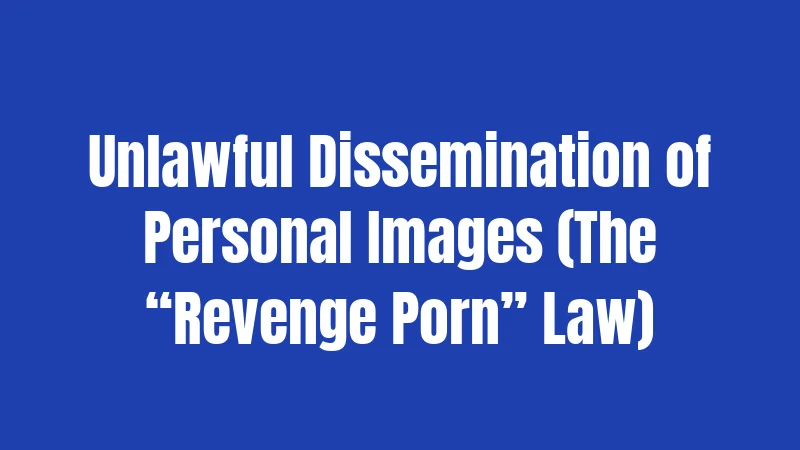 Unlawful Dissemination of Personal Images (The “Revenge Porn” Law)