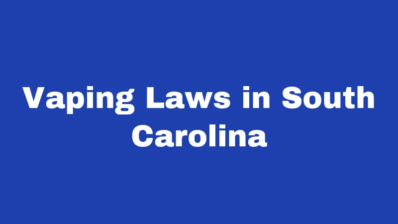 Smoking Laws in South Carolina (2026): Rules That Catch People Off Guard 3 Vaping Laws in South Carolina