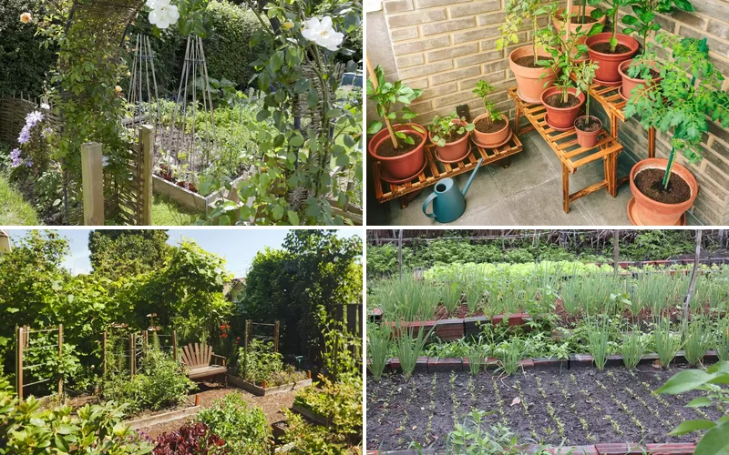 26 Vegetables Garden Ideas That Keep Your Home Stocked with Year-Round vegetable garden ideas featured