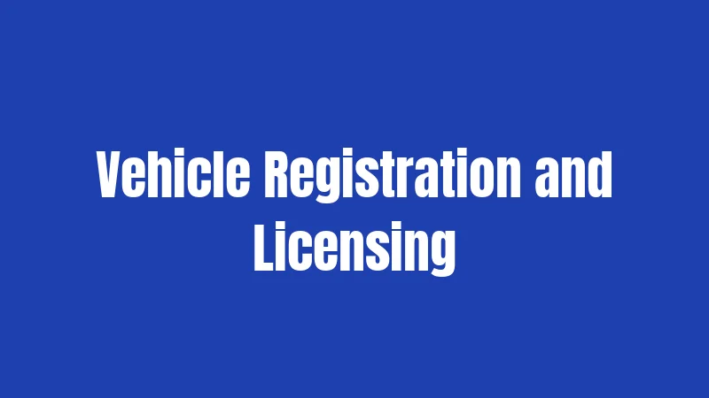 Vehicle Registration and Licensing