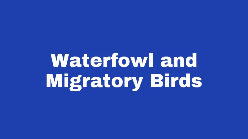 Waterfowl and Migratory Birds