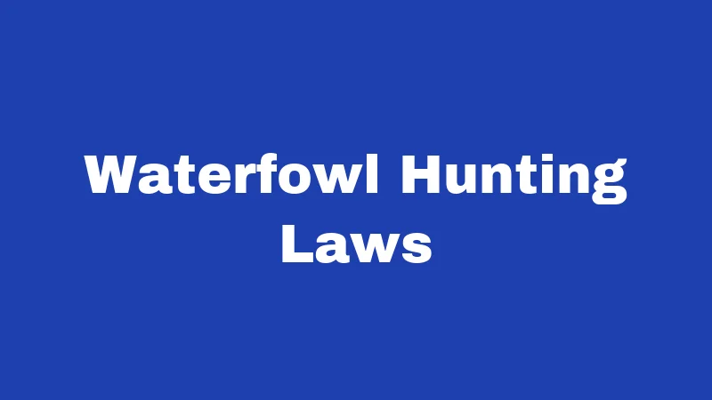Hunting Laws in Kansas (2026): Your Season-Ready Survival Guide 4 Waterfowl Hunting Laws