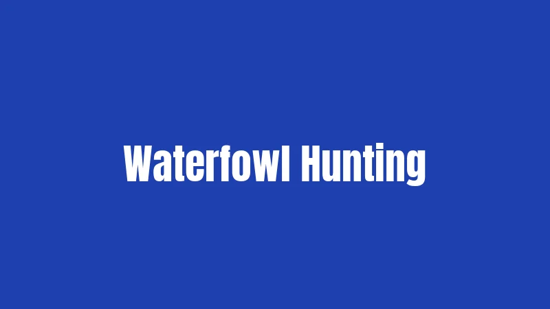 Waterfowl Hunting