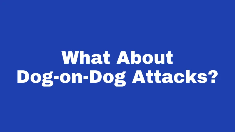 Dog Bite Laws in Kansas (2026): Know Before You Go Outside 5 What About Dog-on-Dog Attacks?