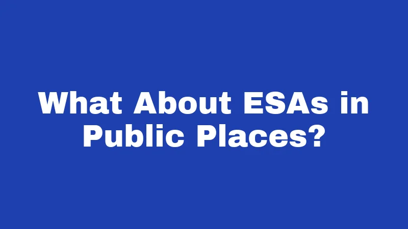 ESA Laws in Arkansas (2026): Rights, Rules, and Real Talk 3 What About ESAs in Public Places?
