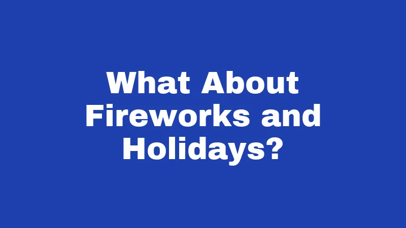 Noise Laws in West Virginia (2026): The Quiet Hours Nobody Tells You About 4 What About Fireworks and Holidays?