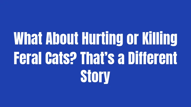 What About Hurting or Killing Feral Cats? That’s a Different Story