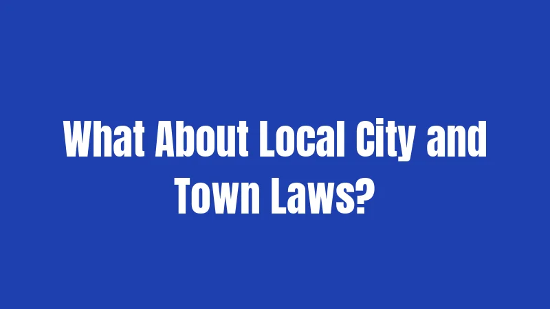 What About Local City and Town Laws?