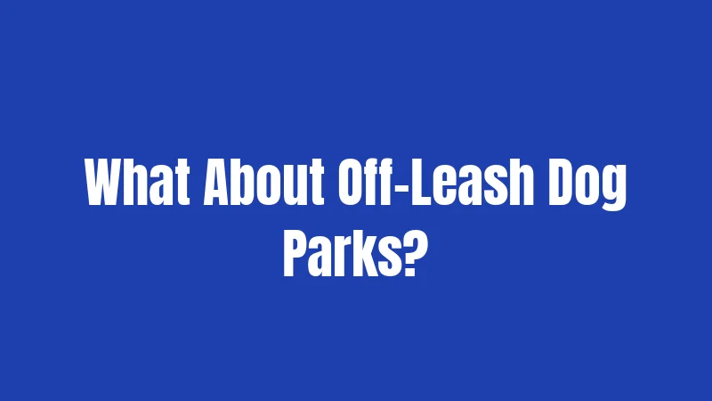 What About Off-Leash Dog Parks?