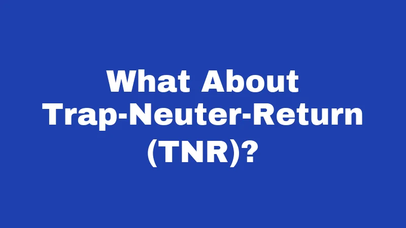 What About Trap-Neuter-Return (TNR)?