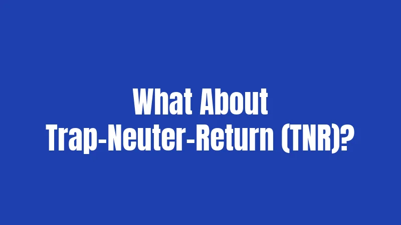 What About Trap-Neuter-Return (TNR)?