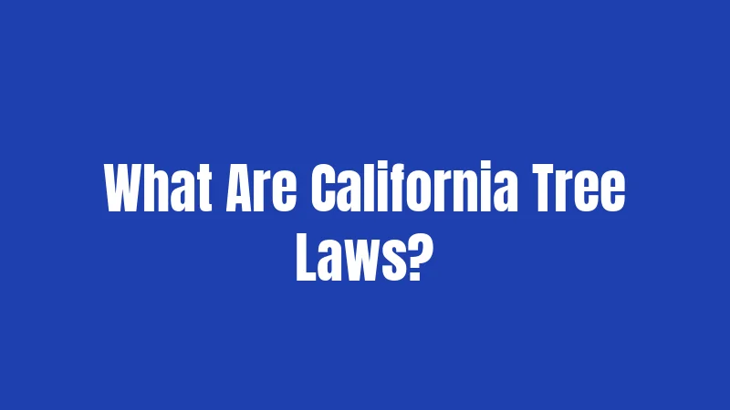 What Are California Tree Laws?