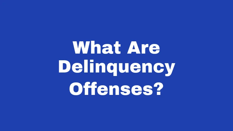 What Are Delinquency Offenses?