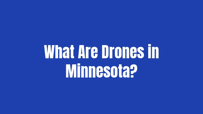 What Are Drones in Minnesota?