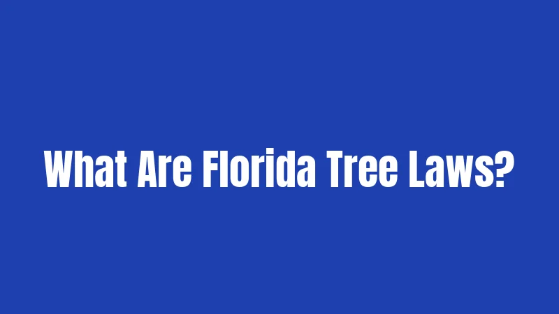 Florida Tree Laws in 2026: What You Actually Need to Know 1 What Are Florida Tree Laws?