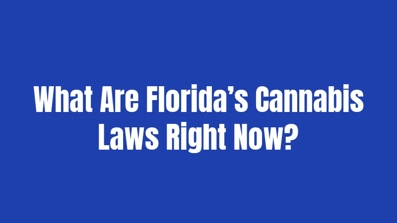 What Are Florida’s Cannabis Laws Right Now?